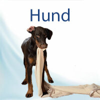 Für Hunde und Katzen