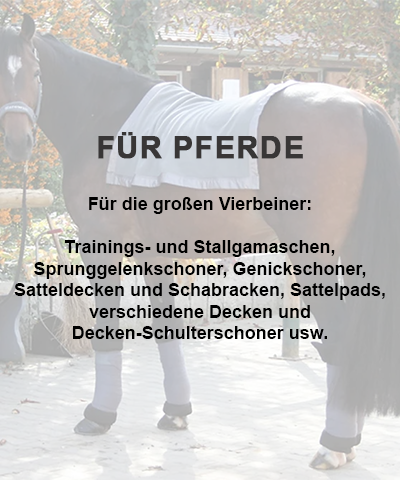 for horses