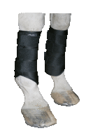 Infrarot-Trainingsgamaschen Bandagier-Effekt - COB hinten schwarz