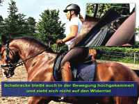 therapeutische Infrarot-Dressur-Schabracke - anatomisch - ohne Kordel schokobraun
