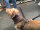 Infrarot-Hundeschal CeraTex Fleece - 35 cm