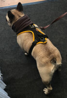 Infrarot-Hundeschal CeraTex Fleece - groß