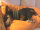 Infrarot-Hundeschal CeraTex Fleece - 55 cm