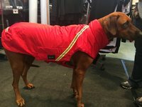 Ganzjahres-Hundemantel wasserdicht atmungsaktiv Reflexstreifen 100 cm