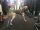 Ganzjahres-Hundemantel wasserdicht atmungsaktiv 100 cm