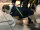 Mops/Bully Infrarot-Ganzjahres-Hundemantel - Reflex 30-35 cm - wasserdicht atmungsaktiv - Reflex 30-35 cm