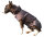 Mops/Bully Infrarot-Ganzjahres-Hundemantel - 40-50 cm - wasserdicht atmungsaktiv