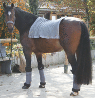 Infrarot-Fleece-Rückenwärmer für Pferde 120x150 cm grau