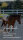 Infrarot-Fleece-Rückenwärmer für Pferde 120x150 cm beige
