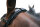 Infrarot-Genickschoner Pony, Araber - für Halfter Trense Kandare
