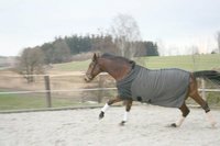 Therapeutisch Infrarot-Abschwitzdecke CeraTex-Fleece mit abnehmbaren Gurten