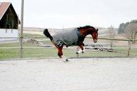 Infrarot-Abschwitzdecke Relax - CeraTex-Fleece mit abnehmbaren Gurten 145 cm