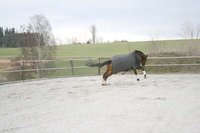 Infrarot-Abschwitzdecke Relax - CeraTex-Fleece mit abnehmbaren Gurten 145 cm