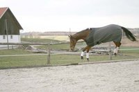Infrarot-Abschwitzdecke Relax - CeraTex-Fleece mit abnehmbaren Gurten 145 cm