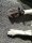 Hundesocke / Bootie Fleece Indoor - Gr. M