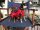 Mini Infrarot-Regen-Winter- Hundemantel - 24 cm navy