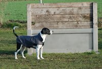 Infrarot-Ganzjahres-Hundemantel - Standard - 65 cm grau