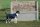 Infrarot-Ganzjahres-Hundemantel - Standard -  75 cm grau