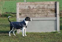 Infrarot-Ganzjahres-Hundemantel - Standard -  75 cm schwarz