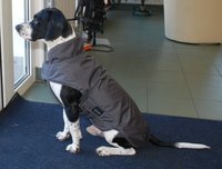 Infrarot-Ganzjahres-Hundemantel - Standard -  75 cm schwarz
