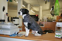 Infrarot-Ganzjahres-Hundemantel - Standard -  60 cm navy