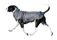 Infrarot-Ganzjahres-Hundemantel - Standard -  60 cm navy