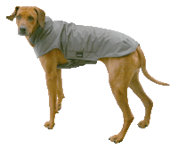 Infrarot-Ganzjahres-Hundemantel - Standard -  65 cm navy