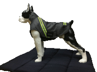 Infrarot-Hundemantel Standard - wasserdicht atmungsaktiv Reflex - Rückenlänge 30-35 cm