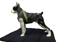 Infrarot-Ganzjahres-Hundemantel - Standard - Reflex - 35 cm grau