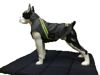 Infrarot-Ganzjahres-Hundemantel - Standard - Reflex - 35 cm schwarz