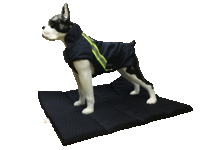 Infrarot-Ganzjahres-Hundemantel - Standard - Reflex - 35 cm schwarz