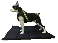 Infrarot-Ganzjahres-Hundemantel - Standard - Reflex - 35 cm schwarz