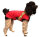 Infrarot-Ganzjahres-Hundemantel - Standard - Reflex - 35 cm schwarz