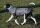 Infrarot-Ganzjahres-Hundemantel - Standard - Reflex - 45 cm grau