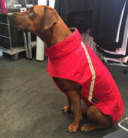 Gr. L Rückenlänge 60-80 cm mit Reflex - Infrarot-Ganzjahres-Hundemantel wasserdicht atmungsaktiv