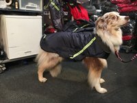Gr. L Rückenlänge 60-80 cm mit Reflex - Infrarot-Ganzjahres-Hundemantel wasserdicht atmungsaktiv