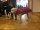 Infrarot-Ganzjahres-Hundemantel - Standard - Reflex - 60 cm grau