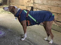 Infrarot-Ganzjahres-Hundemantel - Standard - Reflex - 80 cm navy