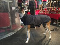 Gr. XL Rückenlänge 90 cm ohne Reflex - Infrarot-Ganzjahres-Hundemantel wasserdicht atmungsaktiv