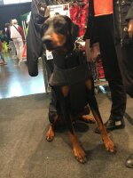 Gr. XL Rückenlänge 90 cm ohne Reflex - Infrarot-Ganzjahres-Hundemantel wasserdicht atmungsaktiv