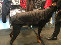 Gr. XL Rückenlänge 90 cm ohne Reflex - Infrarot-Ganzjahres-Hundemantel wasserdicht atmungsaktiv