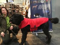 Gr. XL Rückenlänge 90 cm ohne Reflex - Infrarot-Ganzjahres-Hundemantel wasserdicht atmungsaktiv