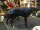 Ganzjahres-Hundemantel wasserdicht atmungsaktiv 90 cm