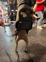 therapeutischer Infrarot-Hunde-Bademantel - 35 cm