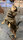 Infrarot-Hunde-Bademantel - 35 cm