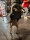 Infrarot-Hunde-Bademantel - 50 cm