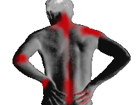 Infrarot-Rückenschoner starke Stütze frei einstellbar - schwarz- Gr. XL