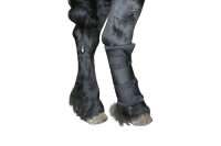 Paar Infrarot-Stallgamaschen Xtreme - Größe L